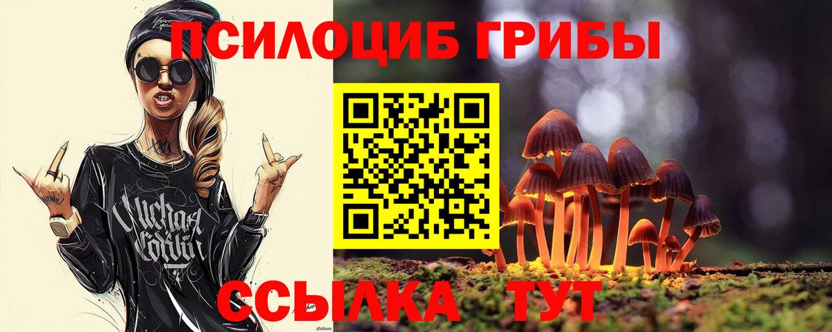Псилоцибиновые грибы прущие грибы Реутов