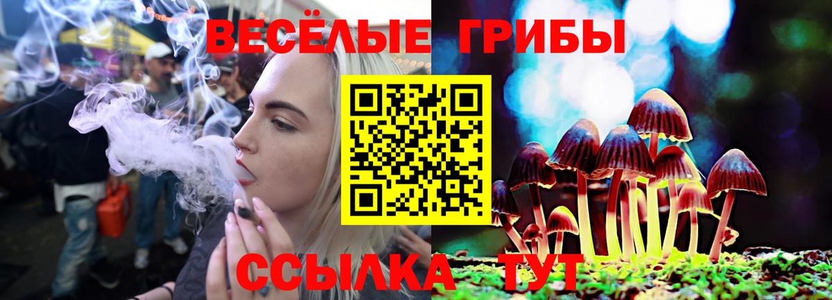 цены наркотик  Вход с VPN  Галлюциногенные грибы Psilocybe  Реутов  Псилоцибиновые грибы Cubensis 